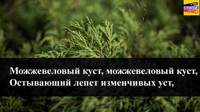 Н.А. Заболоцкий " Можжевеловый куст "| Учи стихи легко | Караоке | Аудио Стихи Слушать Онлайн смотреть онлайн