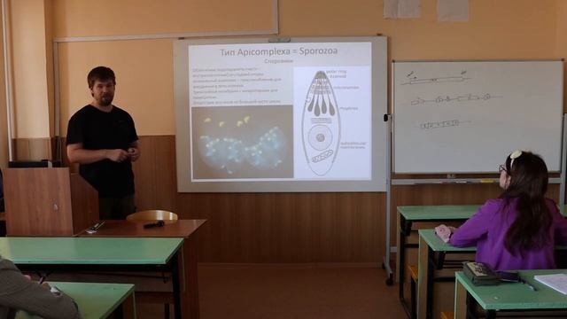 Зоология беспозвоночных 4 Простейшие