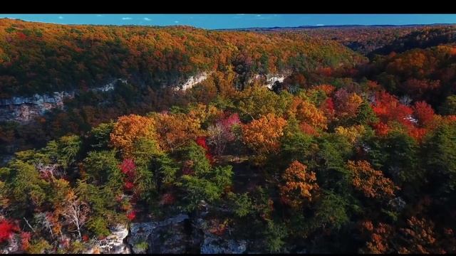 КВАРТИРАНТЫ ГОЛОДАЮТ ???  ПОЧЕМУ ОБИЖАЮТ ЛЮБУ ???  ОЛИНА СТАЯ УЧИТ ЖИТЬ !!!