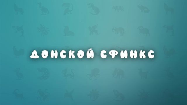 Породы кошек | развивающее видео для детей | карточки Домана