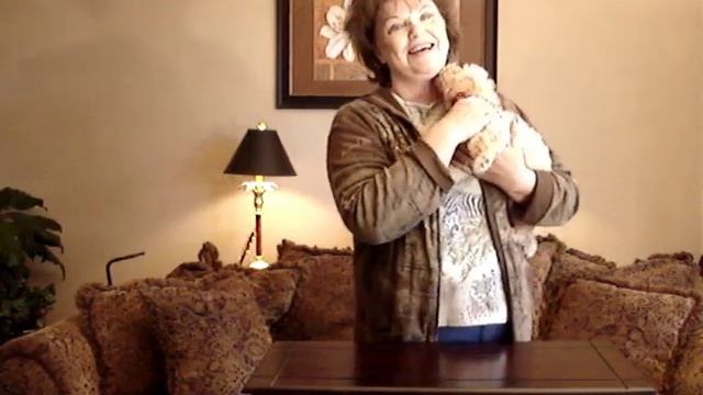 Toy Mini Labradoodles - The Perfect Small Family Dog