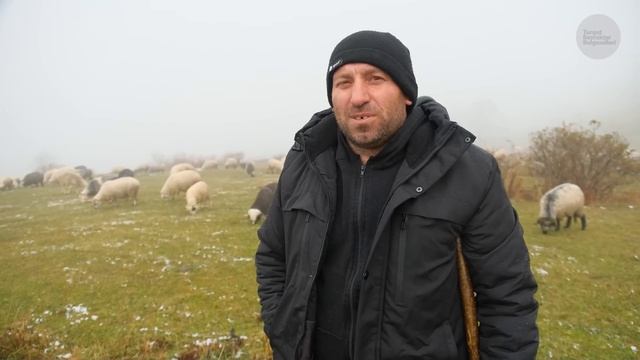 Issız Ve Karlı Bir Günde Çobanlık | Belgesel