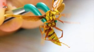 УКУС ОСЫ ПАЛАЧА (Оса палач ужалила человека) Brave Wilderness на русском