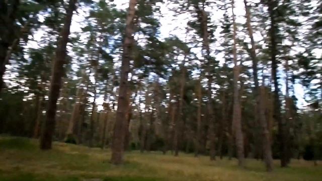 Прогулка с Garrett ACE 250 в лесу / ПОИСК ЗОЛОТА смотреть онлайн