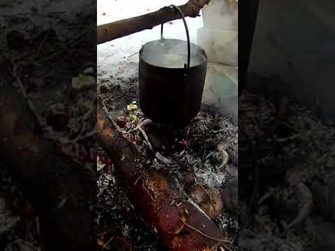 Готовим уху на рыбалке #shorts смотреть онлайн