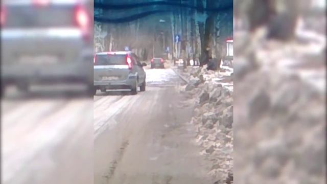 Житель Пермского края рыбачит в луже на дороге смотреть онлайн