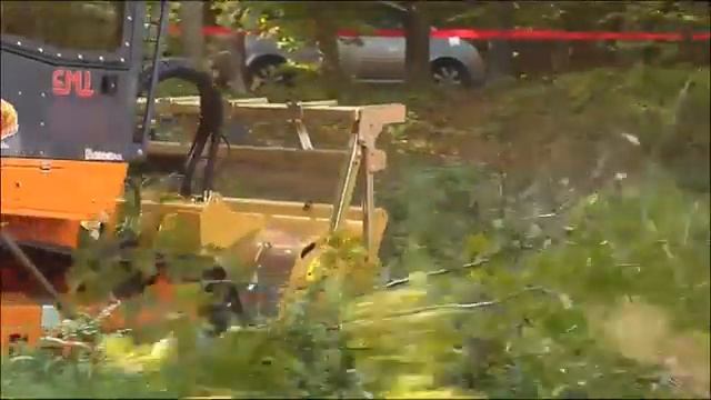 Мульчер MIDIFORST dt hyd от SEPPI M. смотреть онлайн