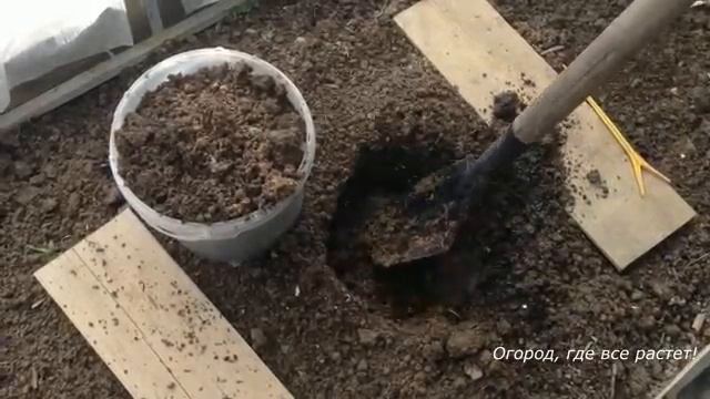 Мои секреты посадки помидоров в теплицу.mp4 смотреть онлайн