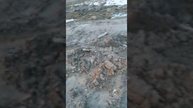 Дрозды.мозырский район. Дорога весна 2017 смотреть онлайн