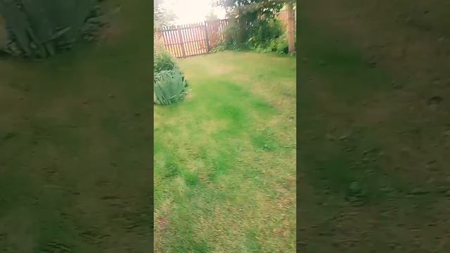 Экскурсия по даче! СЫЛЛОК НЕ БУДЕТ! смотреть онлайн