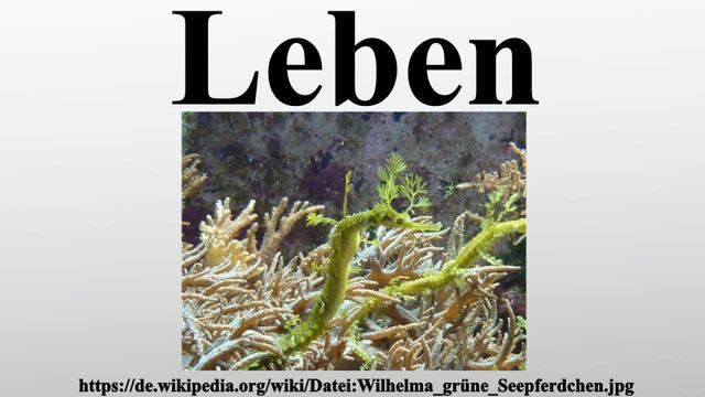 Leben смотреть онлайн