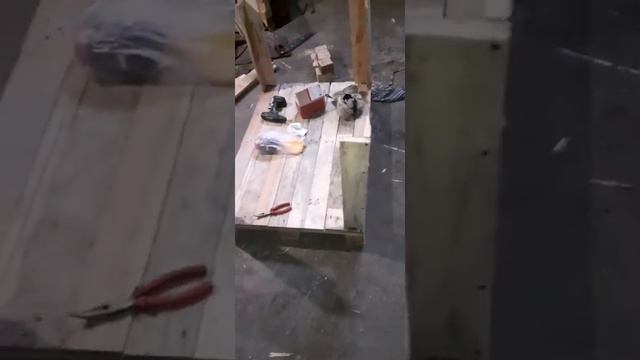 будка для собак из поддонов смотреть онлайн