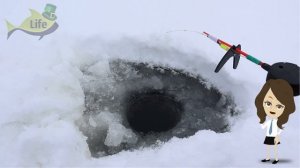 Прикормка убийца карася зимой! Лучшая прикормка на карася зимой!