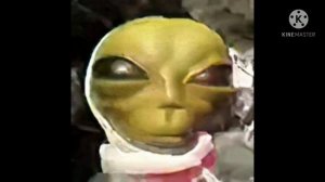 Хармане-Турецкая песня с Тик Тока