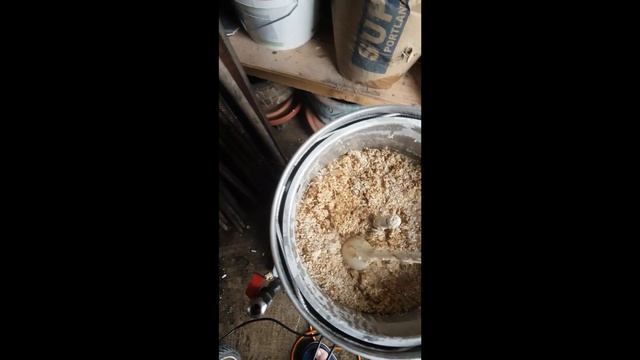 Самый лучший тыквенный эль смотреть онлайн