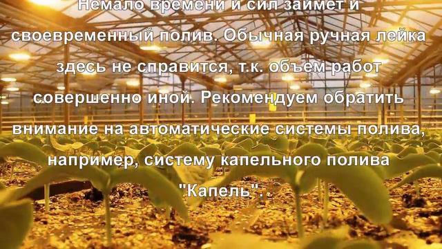 Интересеная бизнес идея! Выращивание огурцув! Класс! смотреть онлайн