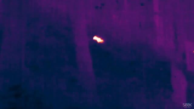 Seek thermal смотреть онлайн