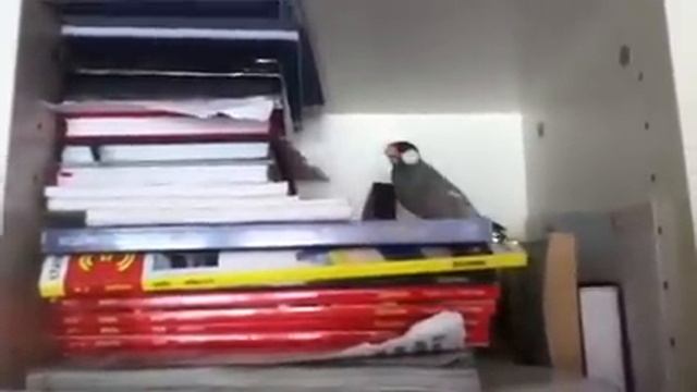 Рисовый амадин. Поет и Гуляет. смотреть онлайн