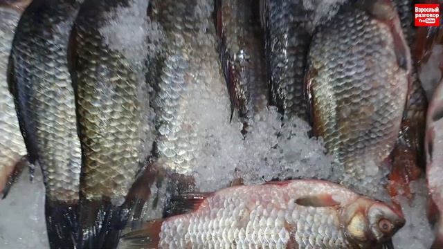 Обзор цен на продукты в Украине 15.07.2021 / Рынок Початок Одесса / ОПТ и РОЗНИЦА смотреть онлайн