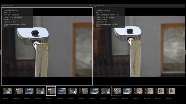 Nikon 70-300 AF-P VR VS Nikon 50-250 VR Nikon Z50