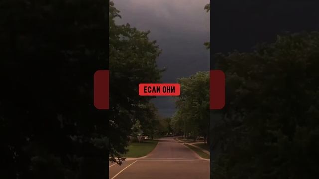 Что такое трипофобия? ? #фобии смотреть онлайн