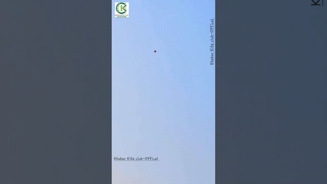 Morning Patangbazi- Real Kite Fighting- Ahmad Bhai K Kamal K Paitch- Pipa Combate смотреть онлайн