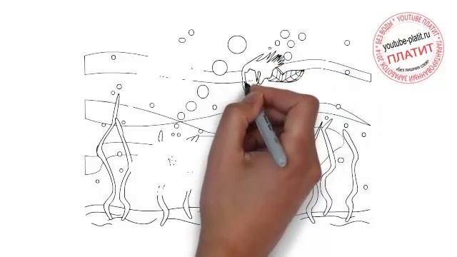 Как нарисовать подводную фею смотреть онлайн