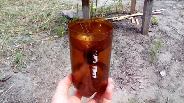 Ловушка для ос и шершней из пластиковой бутылки (эффект 100%) смотреть онлайн