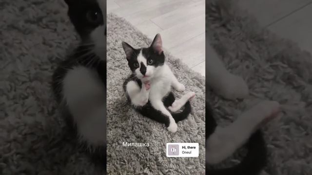 я не просила их обрабатывать и тратить деньги 😣