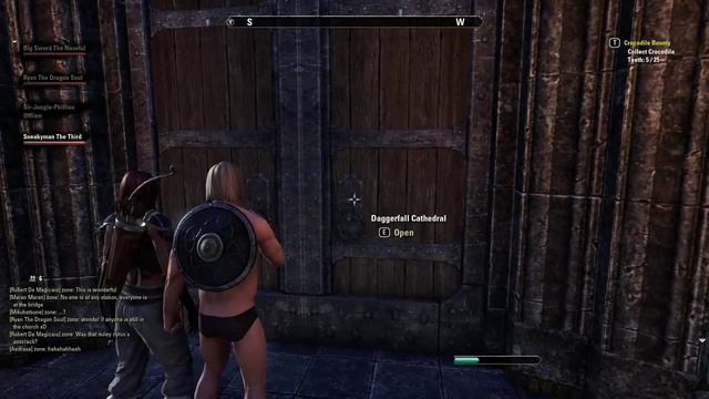 ESO: Daggerfall Naked Rave смотреть онлайн