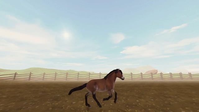 Анимация Готландских Пони в Star Stable Online | Спойлер | The Gotland Pony | Игра про лошадей смотреть онлайн