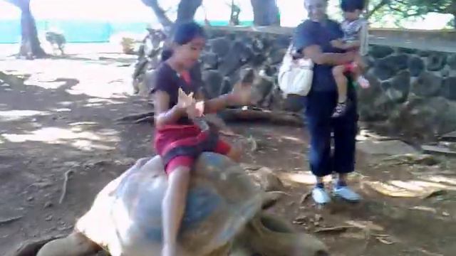 Shivani on Tortoise ride смотреть онлайн