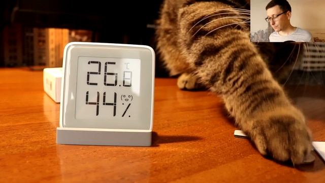 Термометр / гигрометр от Xiaomi небольшой обзор и отзыв смотреть онлайн