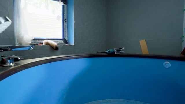 ДОМАШНЯЯ КУПЕЛЬ ИЗ КЕДРА. СБОРКА КУПЕЛИ внутри помещения. #домашняякупель смотреть онлайн