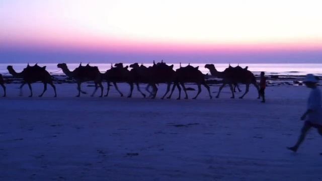 Cable Beach Camels смотреть онлайн