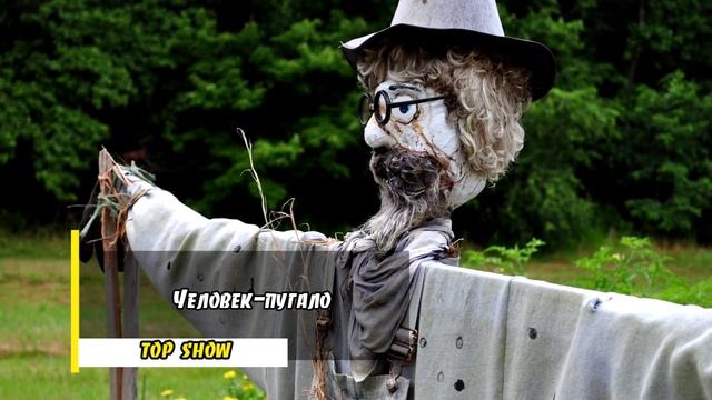 10 САМЫХ НЕОБЫЧНЫХ ПРОФЕССИЙ [ TOP SHOW ] смотреть онлайн