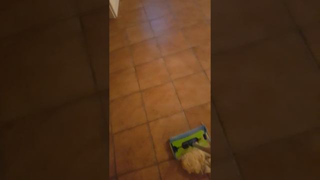 "Кошачий питомник" 2 смотреть онлайн