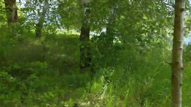 Рыбалка на карпа#шашлыки#супер отдых на выходных#1часть смотреть онлайн