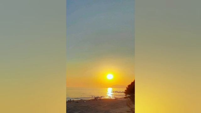 Пение СВЕРЧКОВ для сна и релаксации . Для снятия стресса #Relax#sleep#Meditation смотреть онлайн