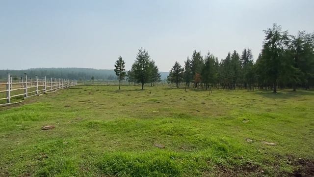 МИРНИНСКИЙ ЗООПАРК «ЖИВЫЕ АЛМАЗЫ »ЯКУТИЯ Лучшее место на планете. смотреть онлайн
