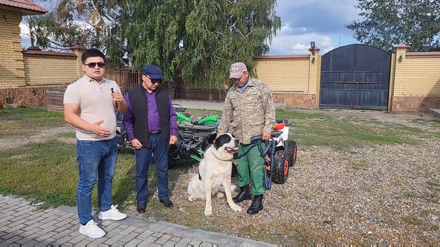 Семей каласы Пк Жеты Казына вл.БЕКЕН агамыз Кабанчик Чемпион🏆 Тарзан Чемпион 🏆 Гена Чемпион 🏆 смотреть онлайн