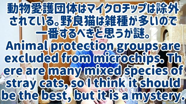 犬猫のマイクロチップを子猫にした・環境省法理改正にペット登録 смотреть онлайн