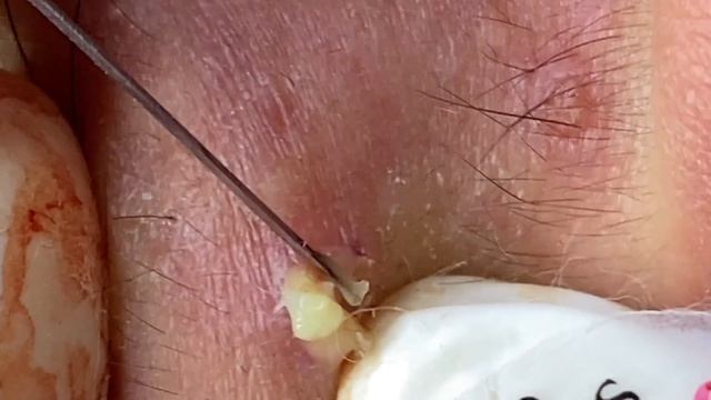 Relax Every Day (GY P15) #SacDepSpa474 смотреть онлайн