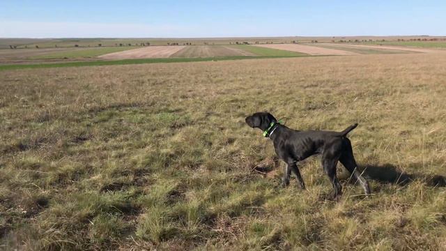 Рембо. 15.04.20 смотреть онлайн