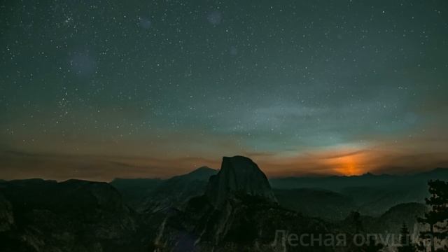 Сердце малыша не билось, хотя он был жив, когда поняли что происходит - потеряли дар речи