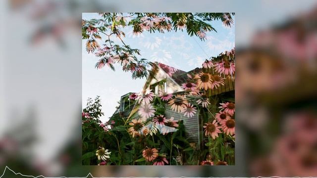 Ssshhhiiittt! - цветы