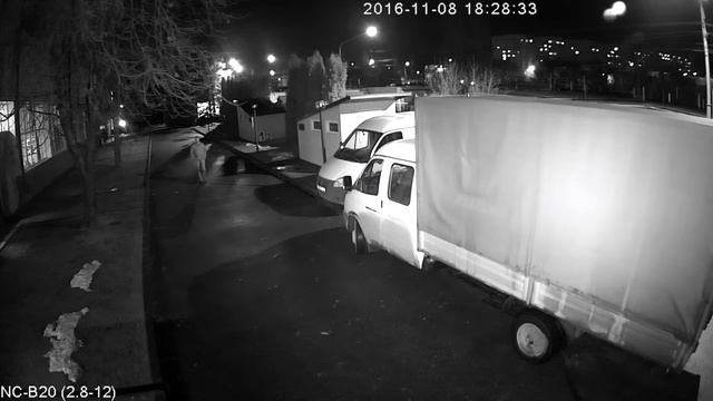 NC-B20 (2.8-12) ночь (улица) zoom- смотреть онлайн