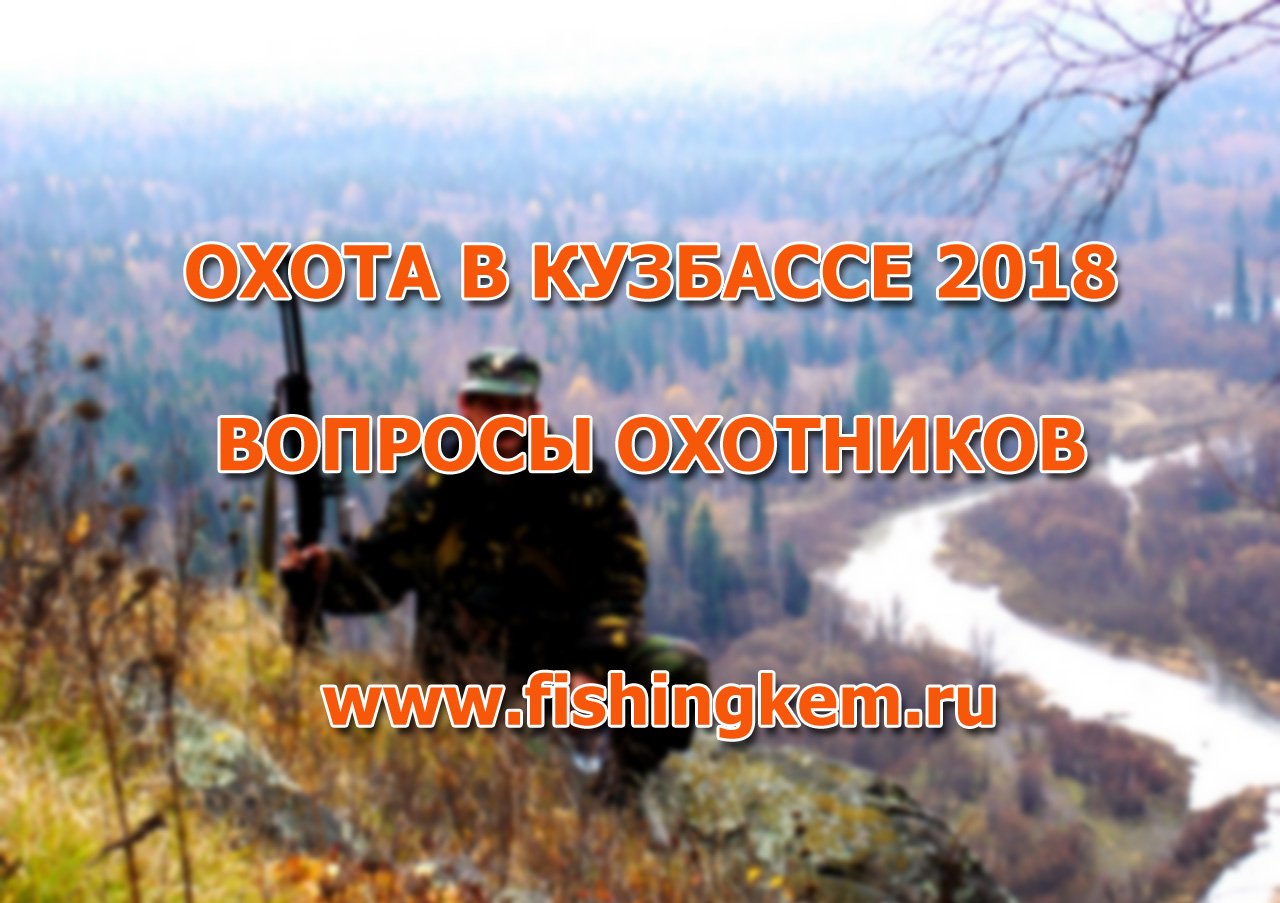 Охота в Кузбассе 2018. Вопросы охотников. смотреть онлайн