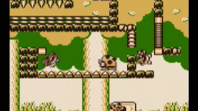 Donkey Kong (Gameboy) gameplay 2 - Forest смотреть онлайн
