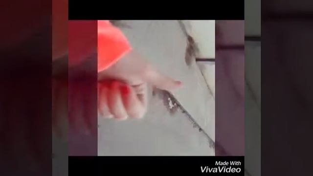 Я катаюсь на роликах
